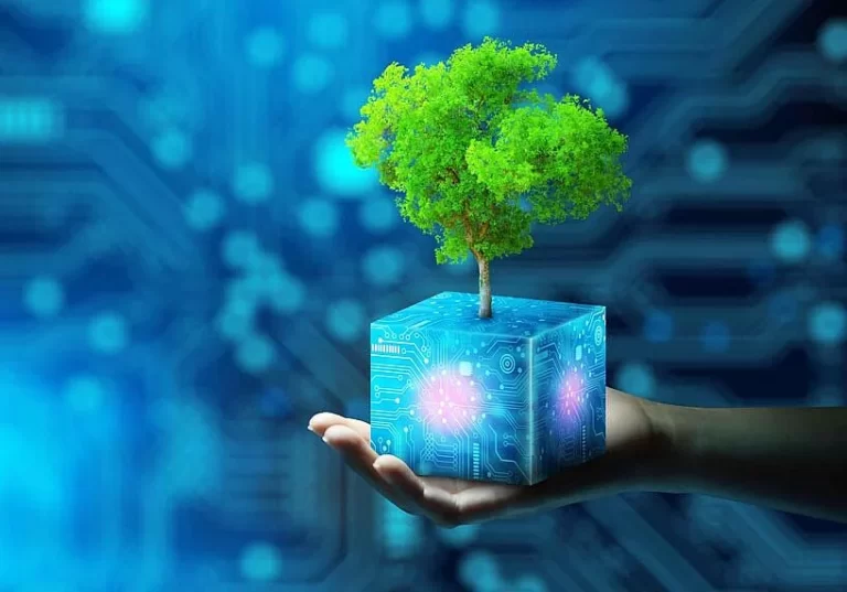 Sustainable Tech Solutions: How Green IT is Shaping the Future